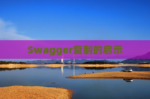Swagger复制的启示